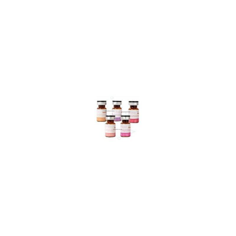 [PB SERUM] SMARTKER PROFESSIONAL 1 VIAL